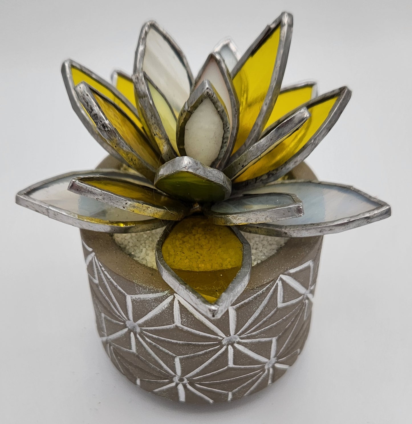 Yellow Succulent in a Grey Pot