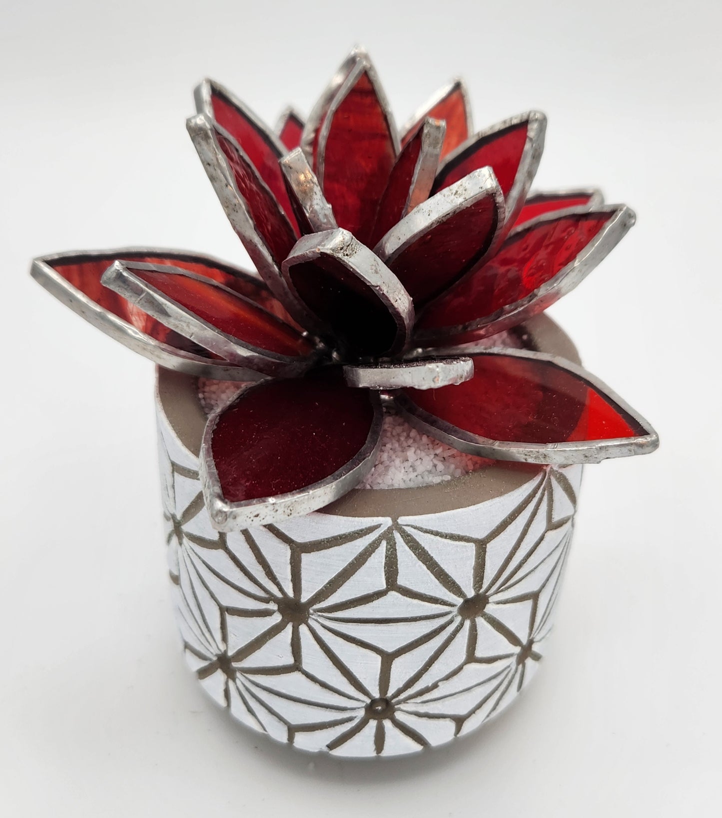 Red Succulent in White Pot