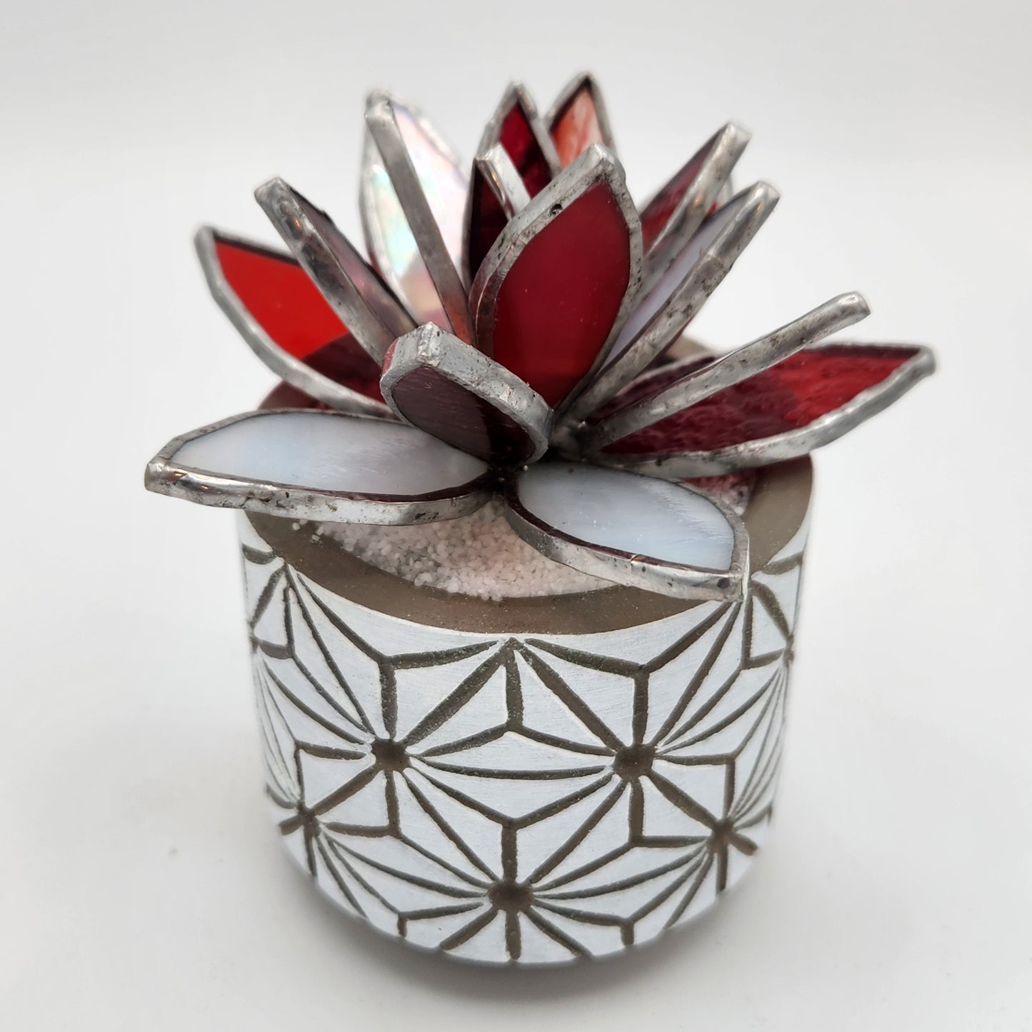 Red and White Succulent in White Pot