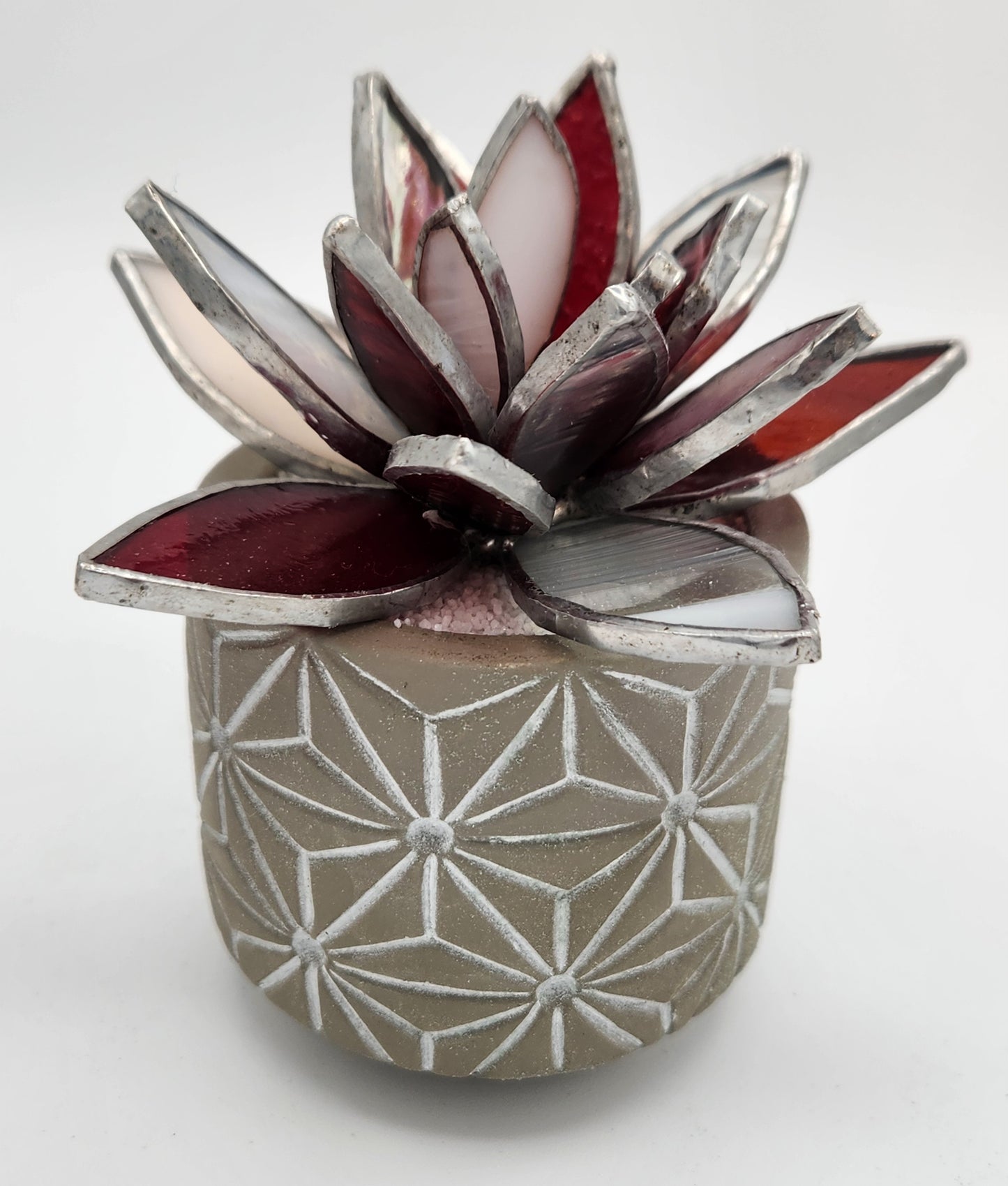 Red and White Succulent in Grey Pot