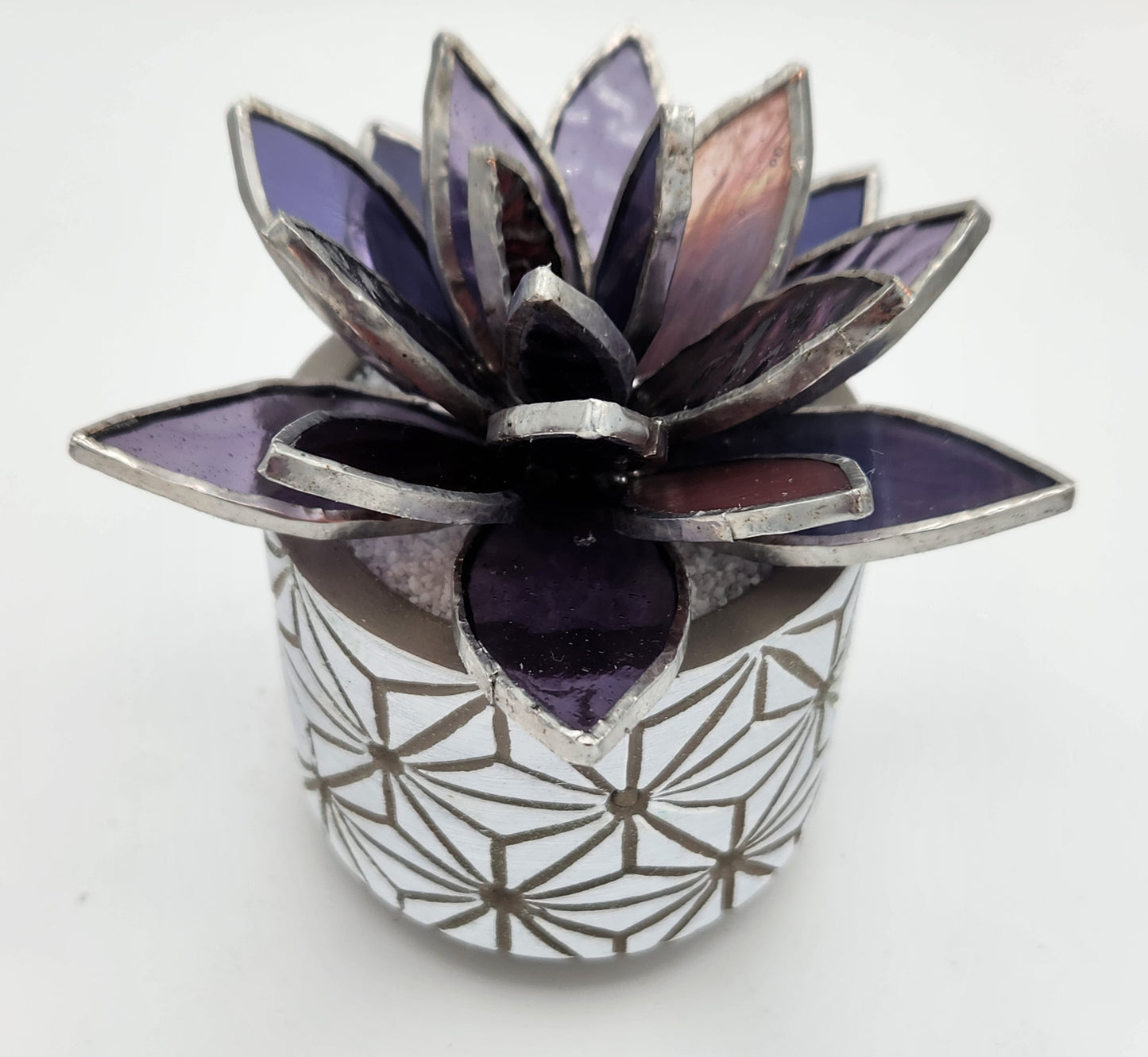 Purple Succulent in a White Pot