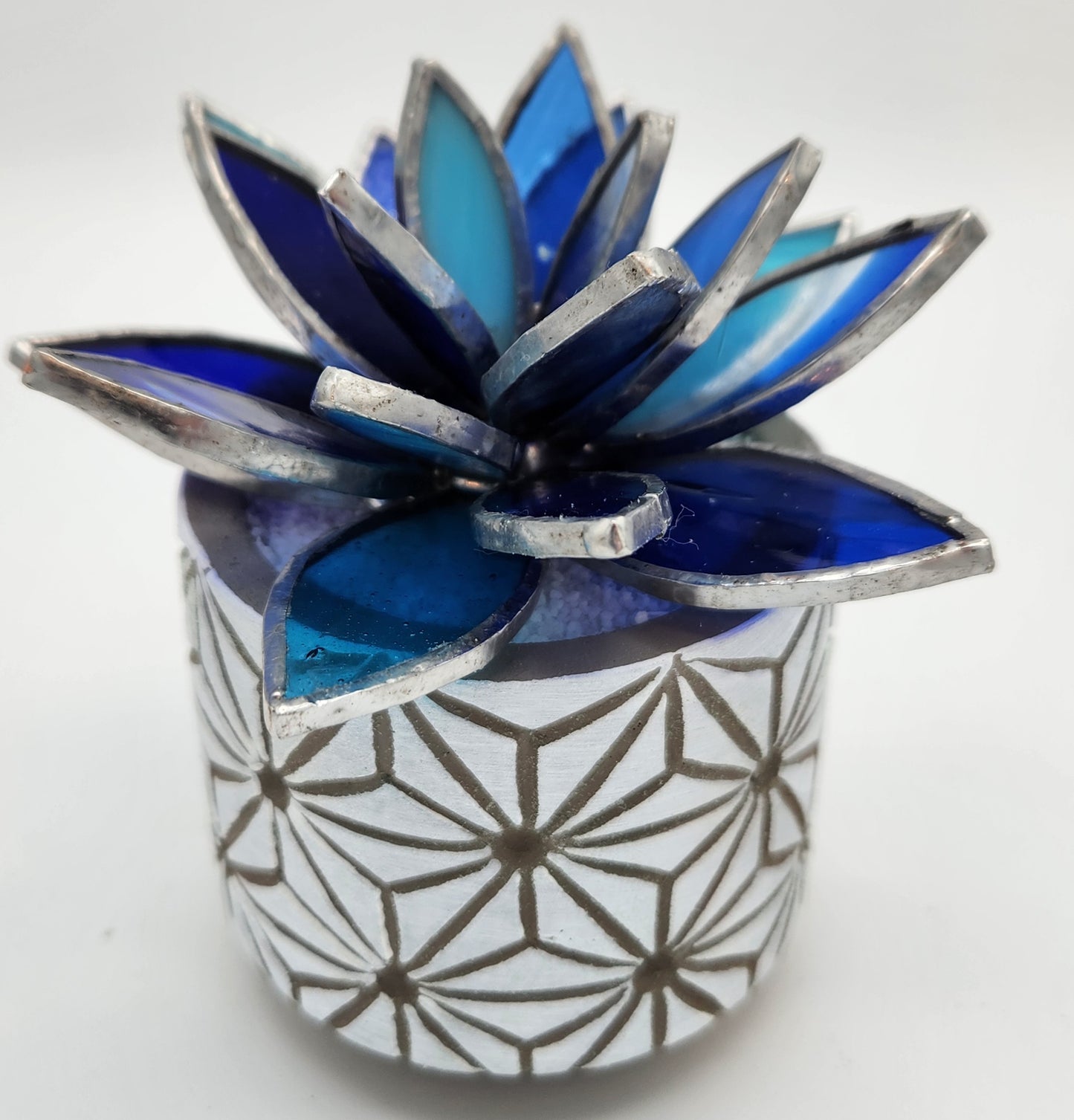 Blue Succulent in a White Pot
