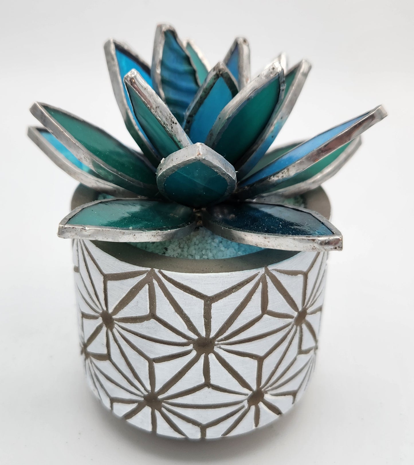 Teal Succulent in a White Pot