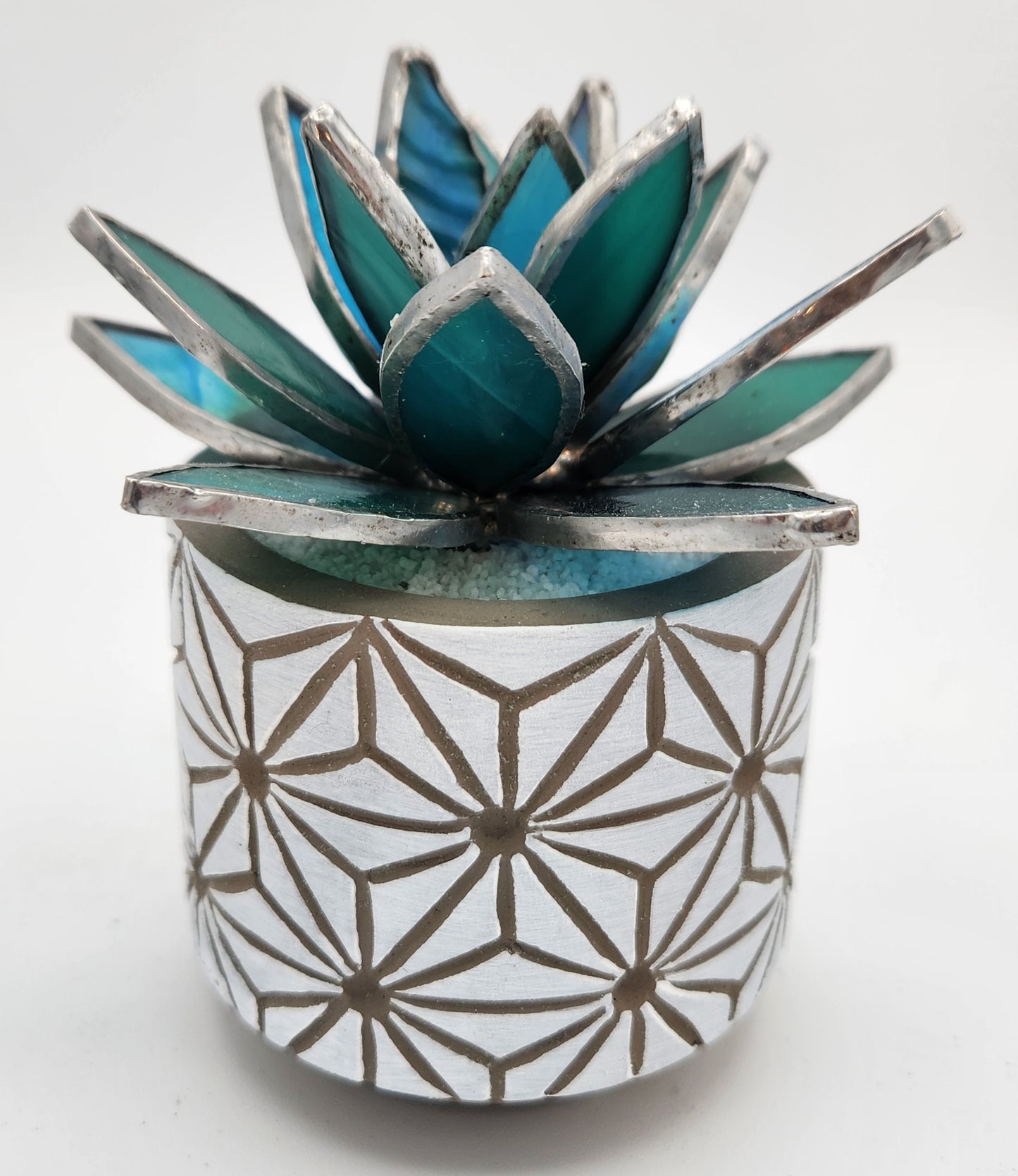 Teal Succulent in a White Pot