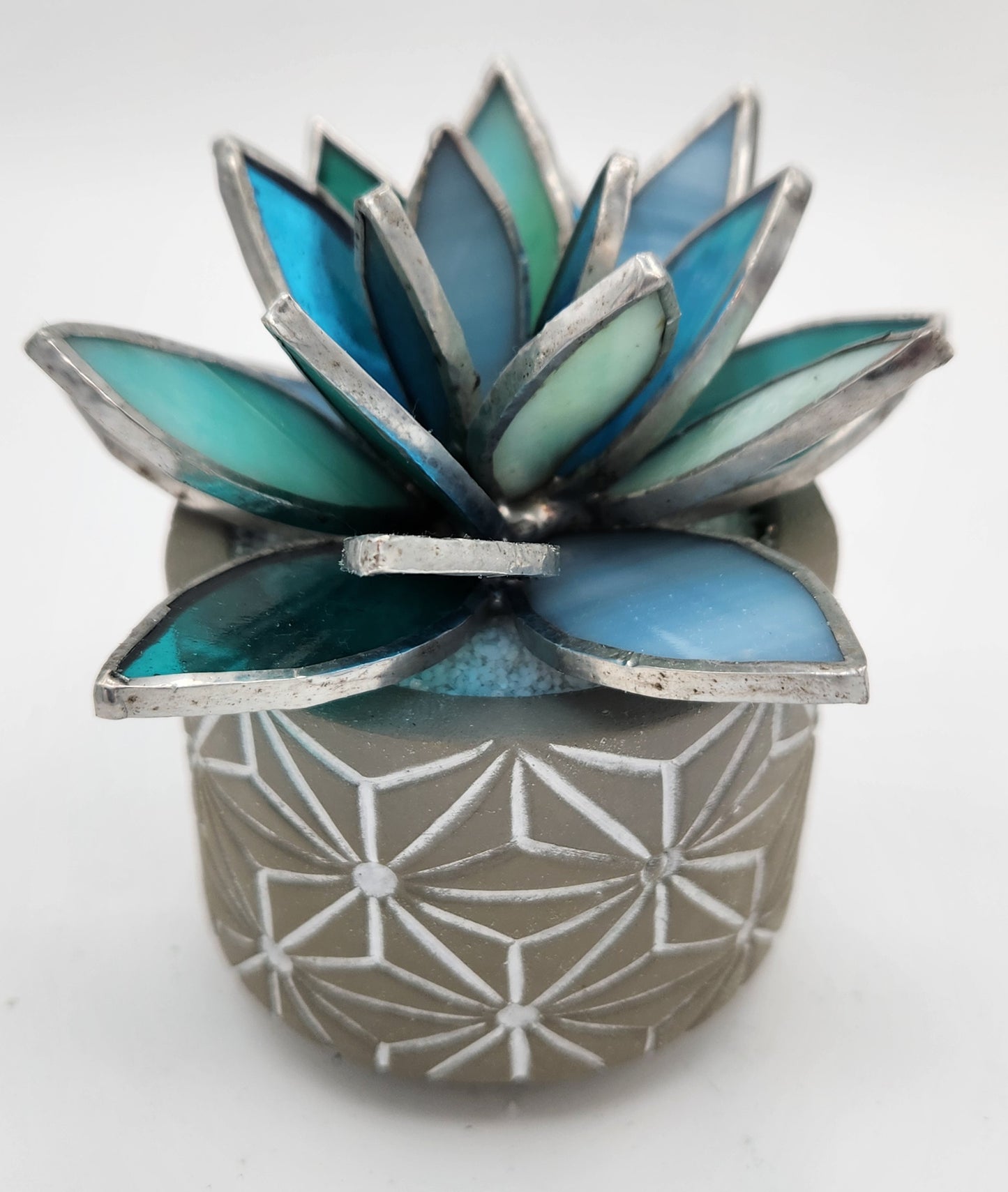 Teal Succulent in a Grey Pot