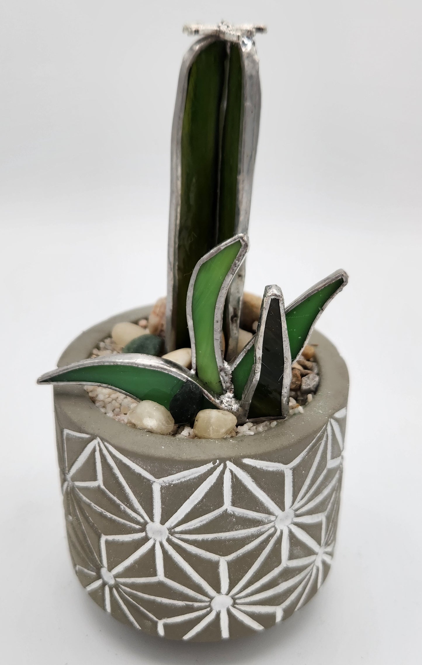 "Pickle" Cactus in Grey Pot