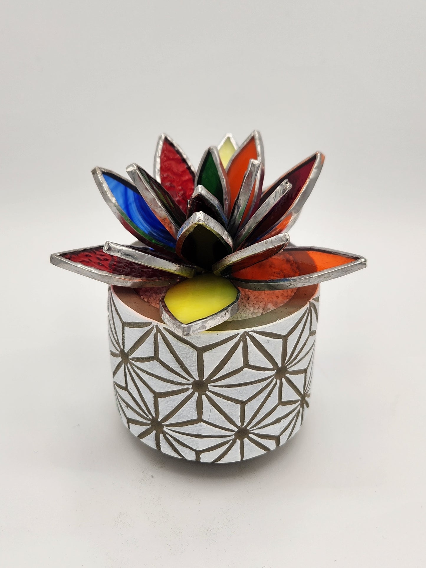 Rainbow Succulent in a White Pot