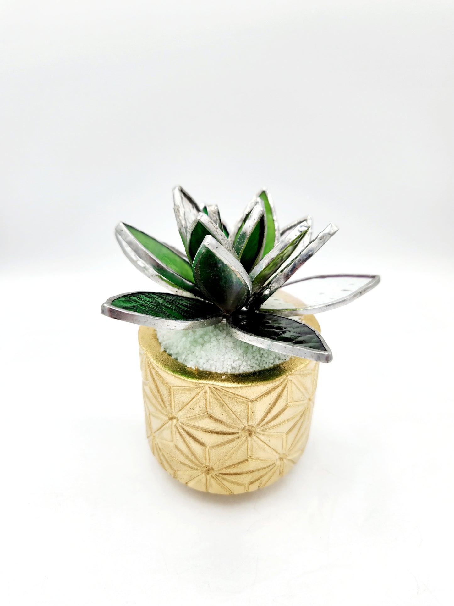 Holiday Lotus Succulents