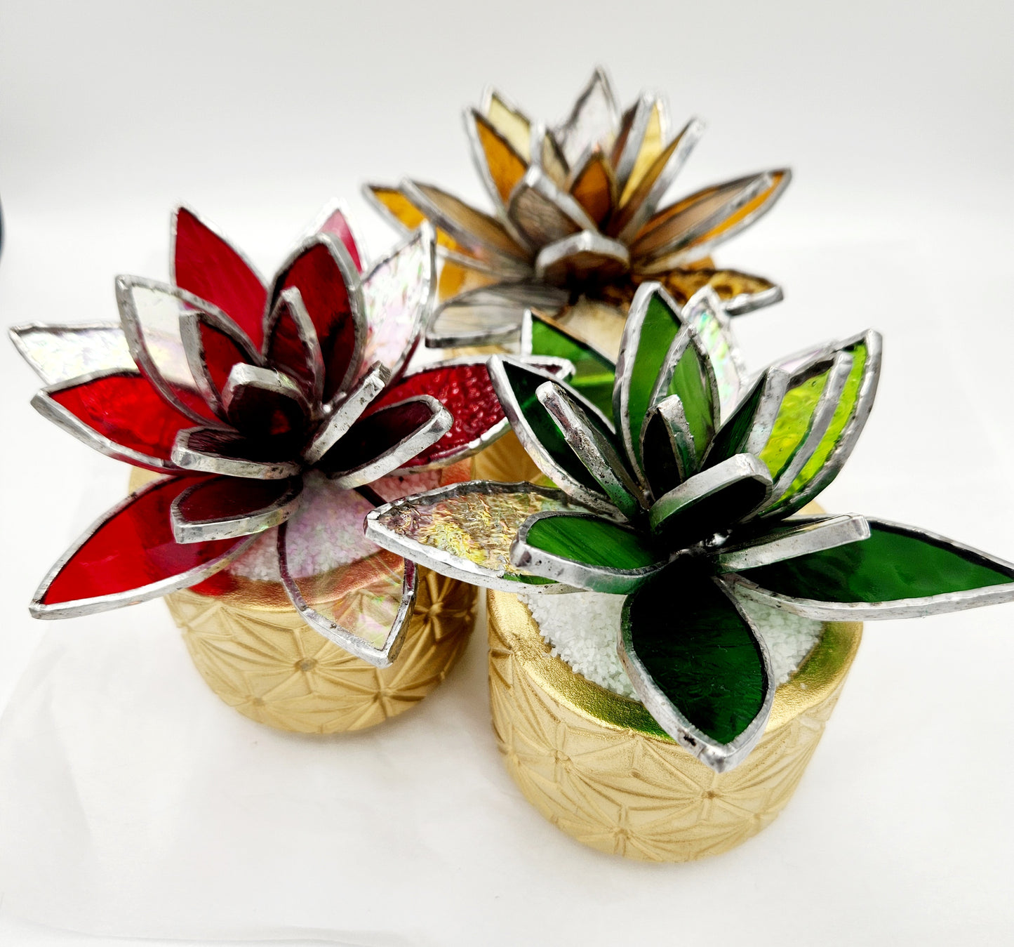 Holiday Lotus Succulents