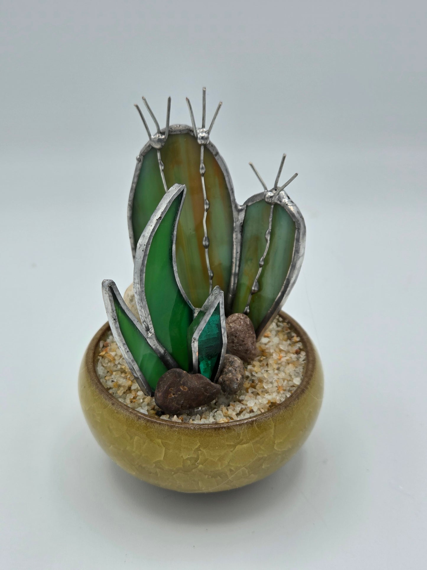 Cactus with Agave Accent in Yellow Pot