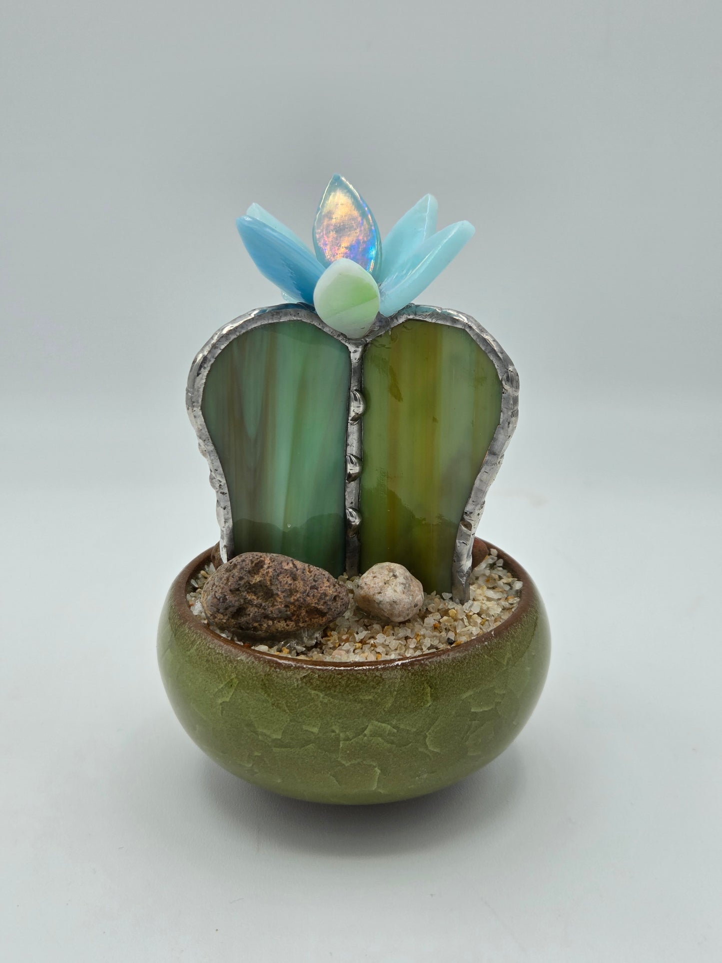 Cactus with Blue Flower in Green Pot
