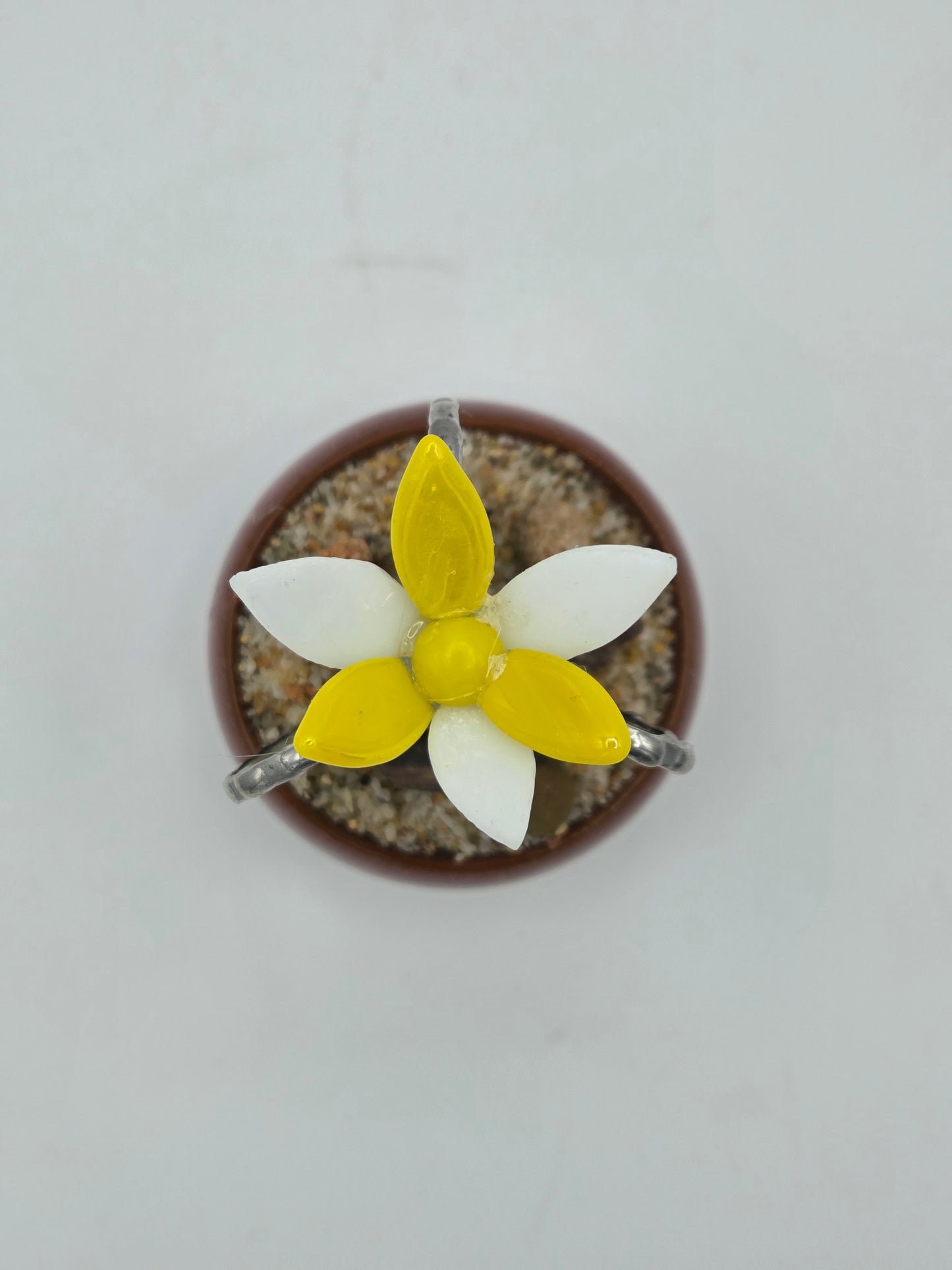 Cactus with Yellow Flower in Mauve Pot