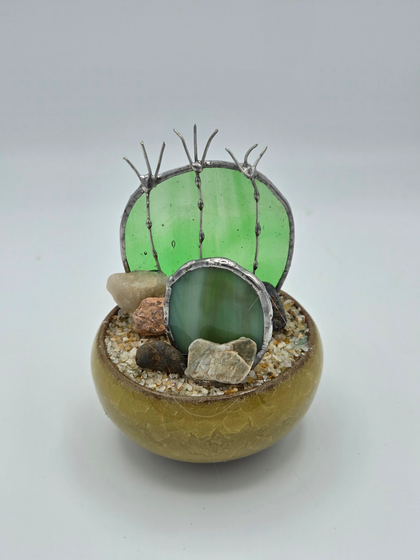Double Cactus in Yellow Pot
