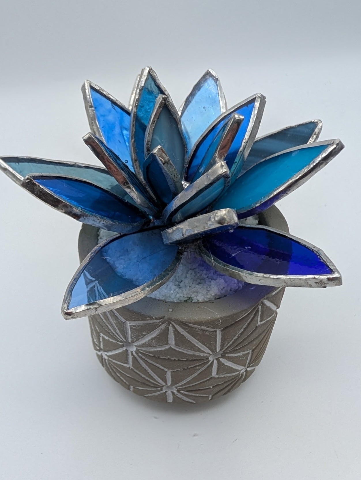 Blue Lotus in Grey Pot