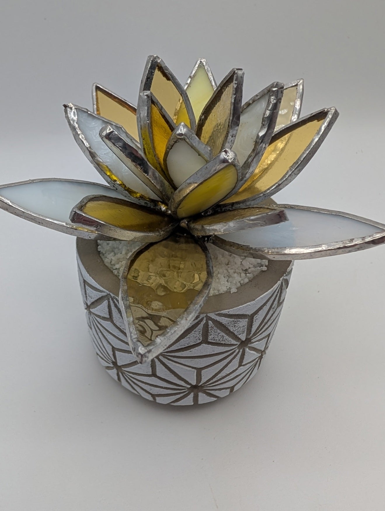 Yellow and White in White Pot