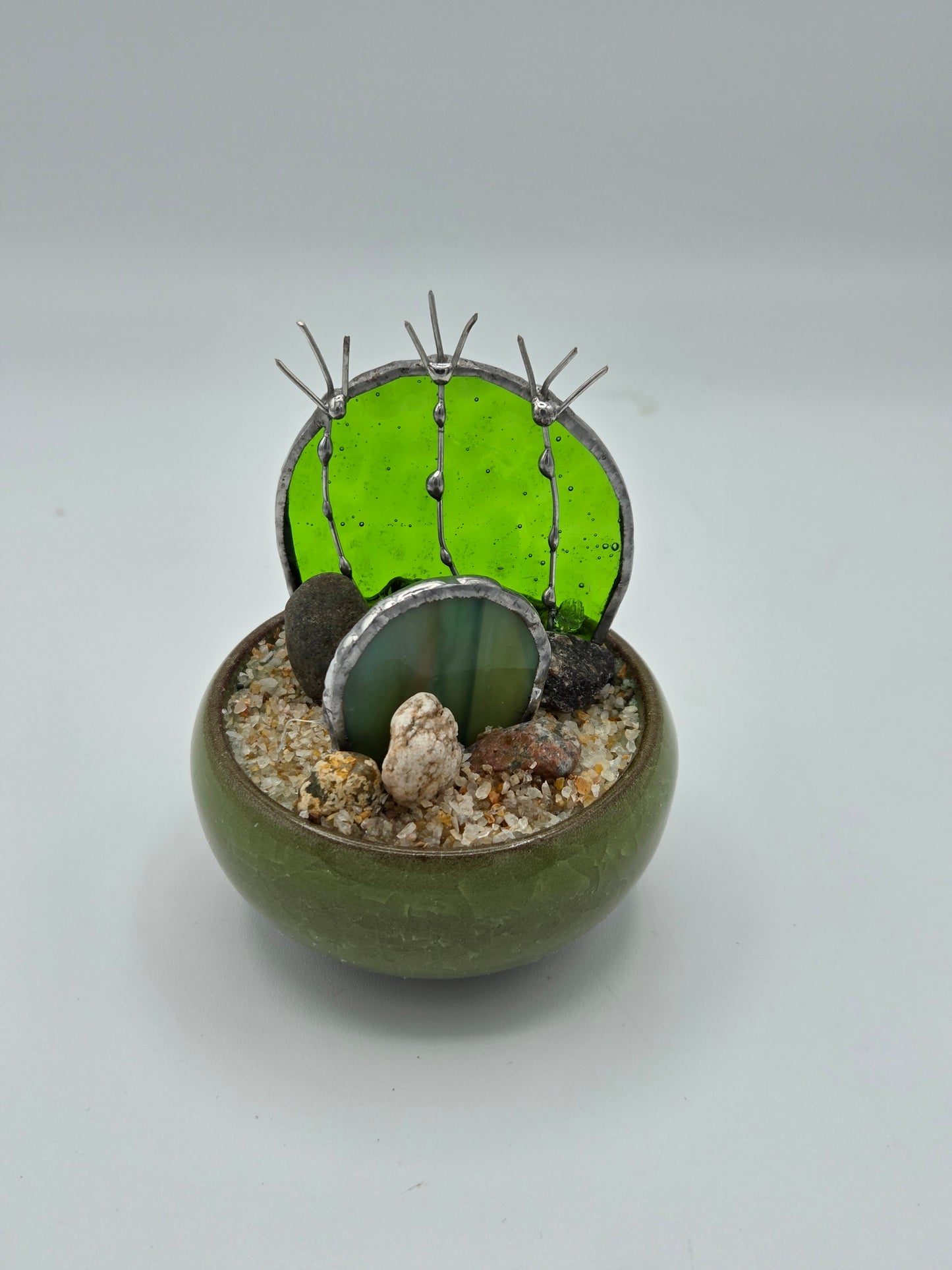Double Cactus in Green Pot
