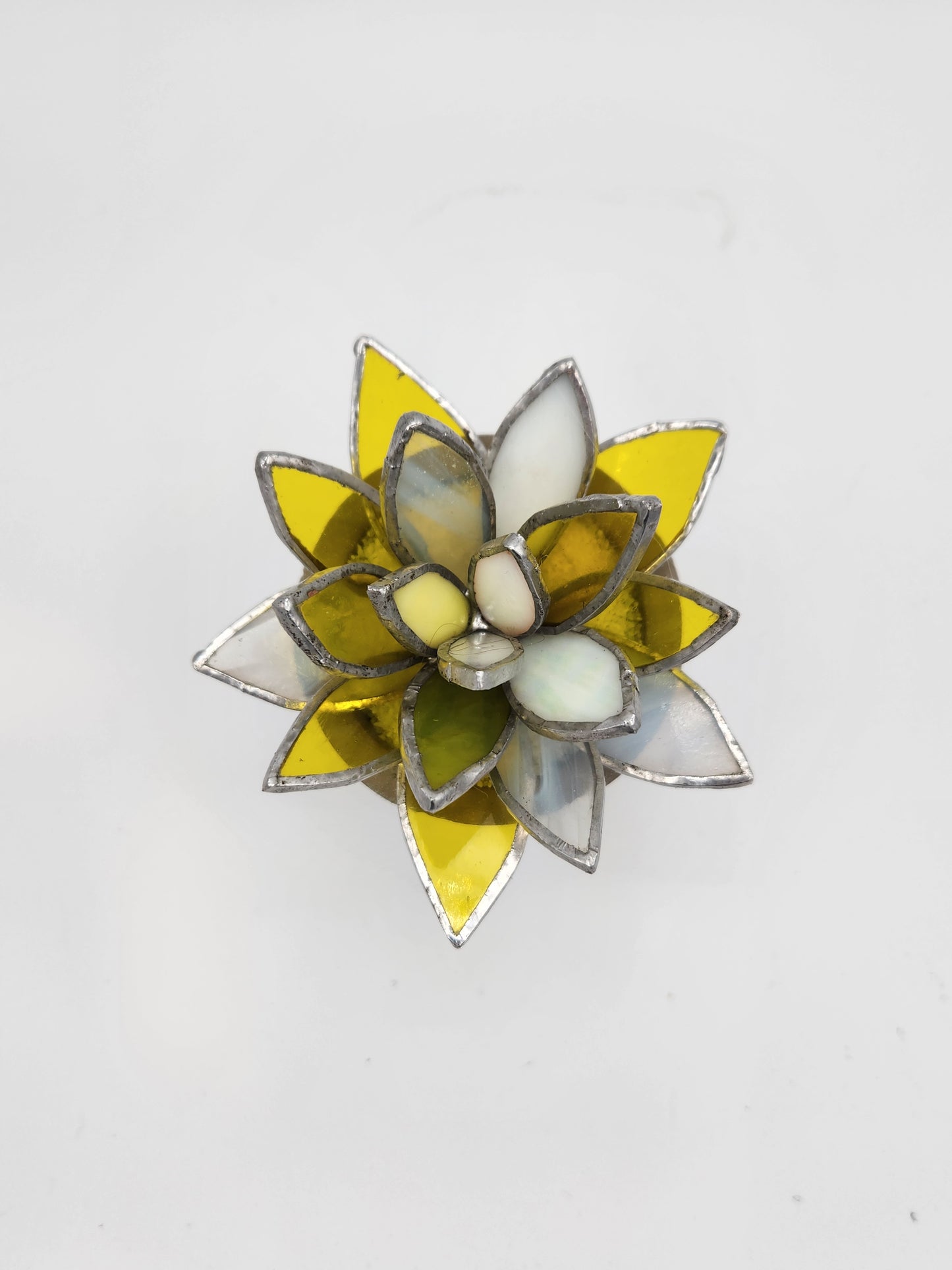 Yellow Succulent in a Grey Pot