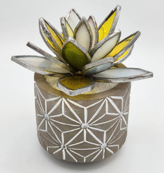 Yellow Succulent in a Grey Pot