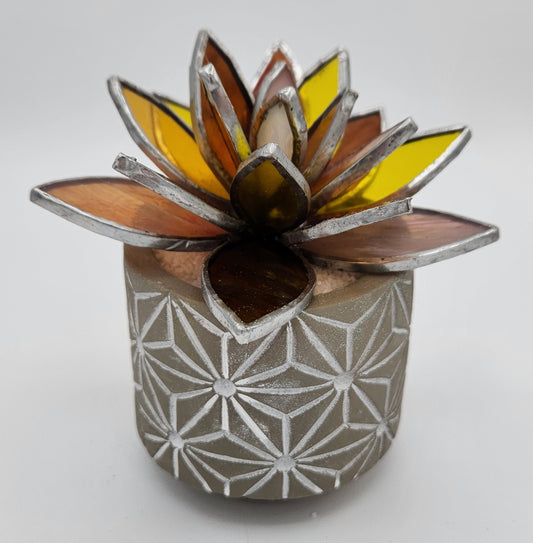 Bronze/Gold Succulent in Grey Pot