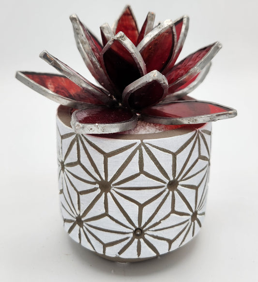 Red Succulent in White Pot