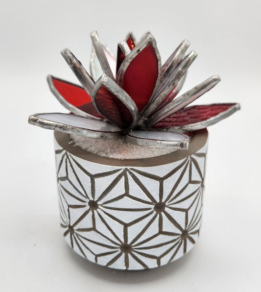 Red and White Succulent in White Pot