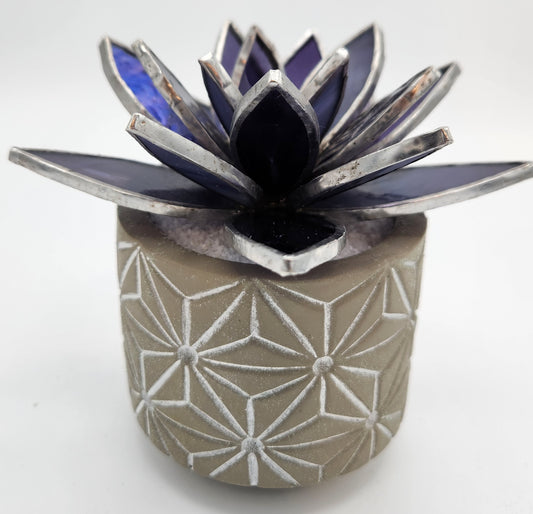 Purple succulent in a Grey Pot