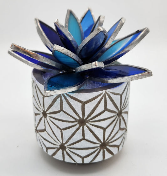 Blue Succulent in a White Pot