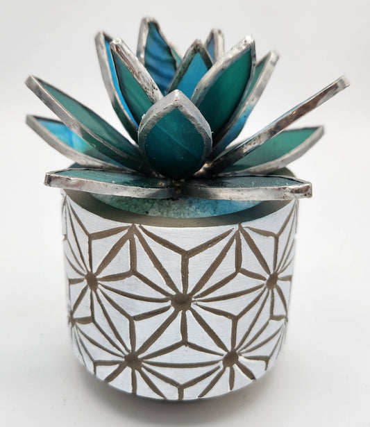 Teal Succulent in a White Pot