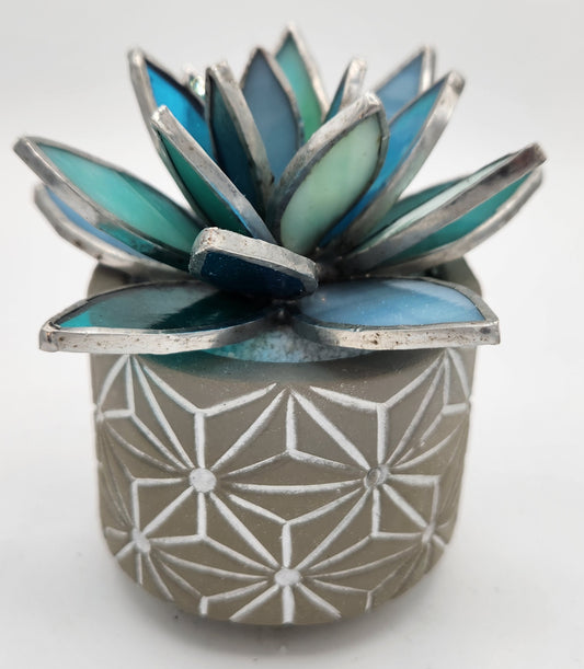 Teal Succulent in a Grey Pot