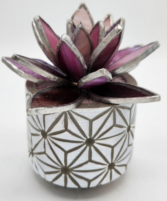 Pink Succulent in a White Pot