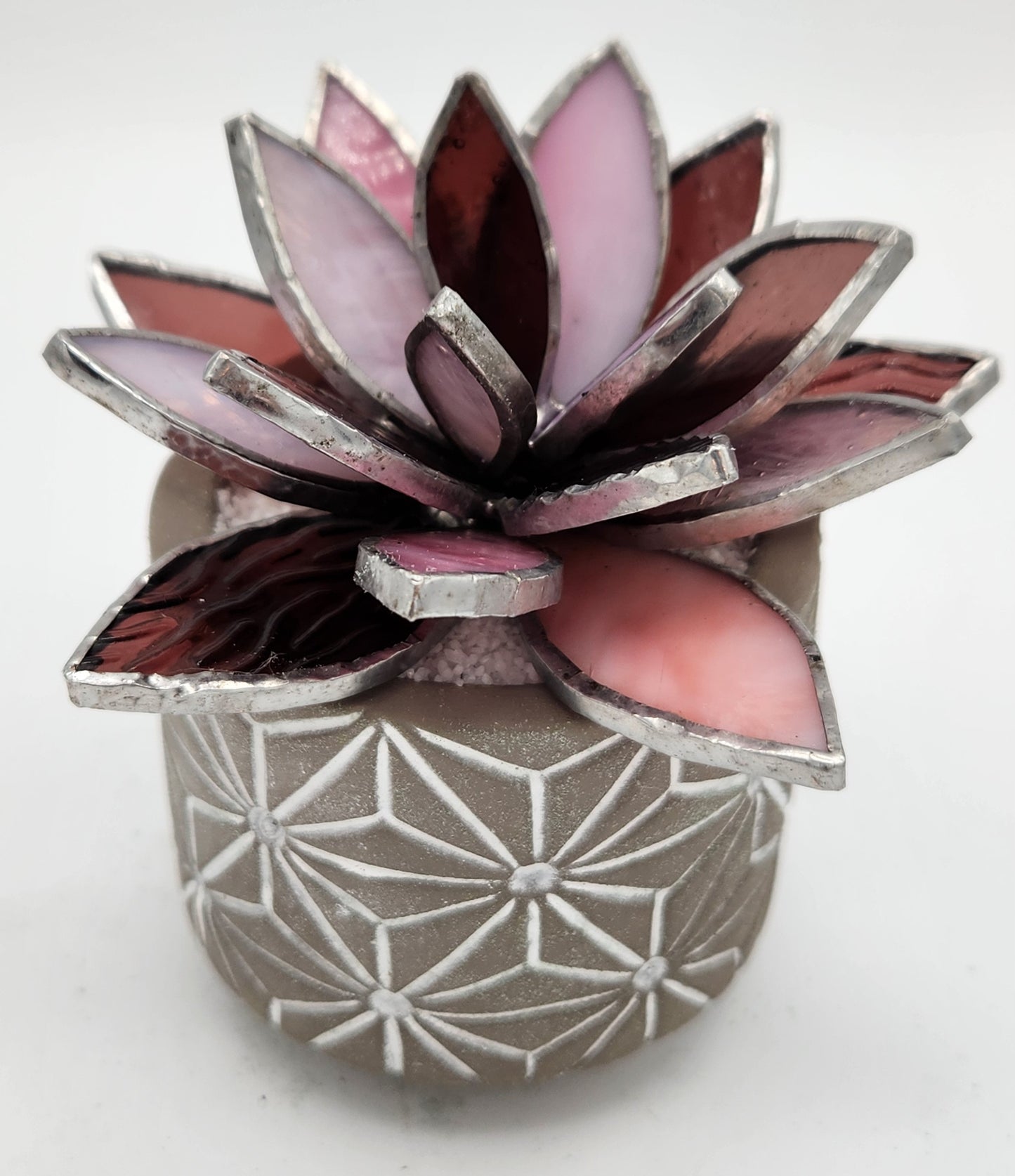 Pink Succulent in Grey Pot