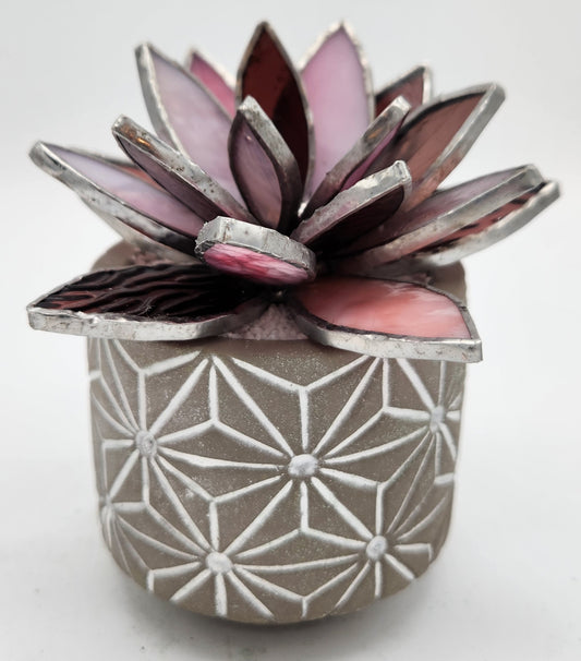 Pink Succulent in Grey Pot