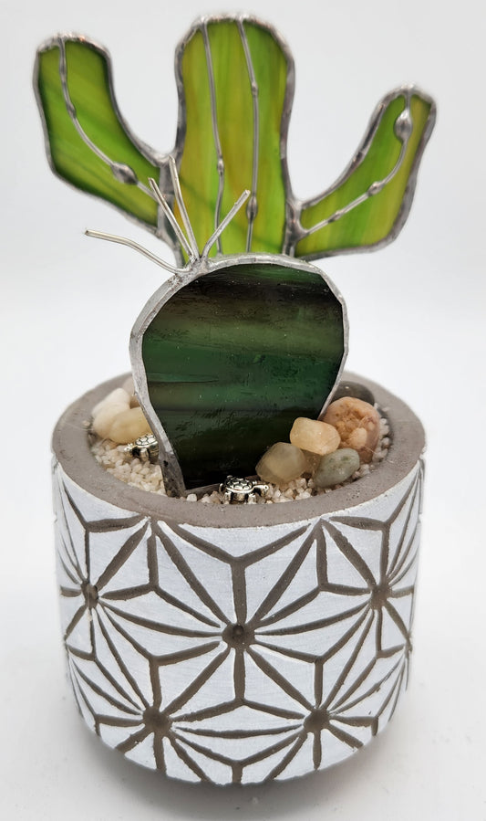 Saguaro Cactus with "Round" Accent in Grey Pot