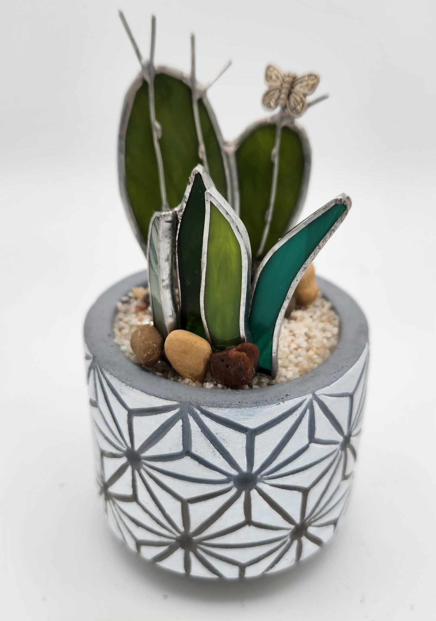 "Flat" Cactus in White Pot