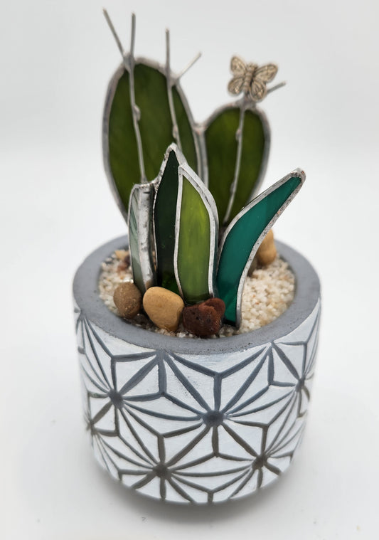 "Flat" Cactus in White Pot