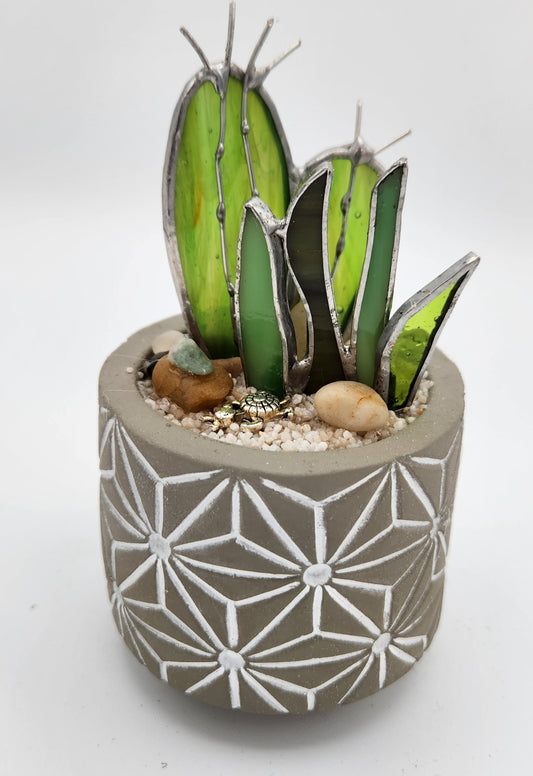 "Flat" Cactus in Grey Pot