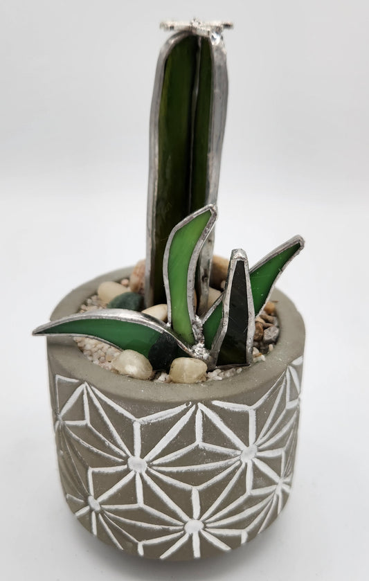 "Pickle" Cactus in Grey Pot