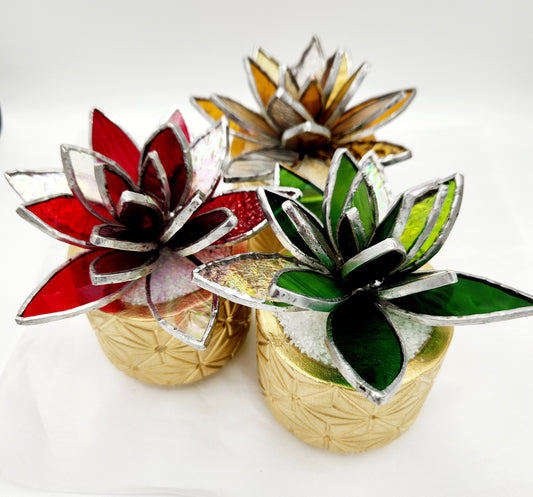 Holiday Lotus Succulents