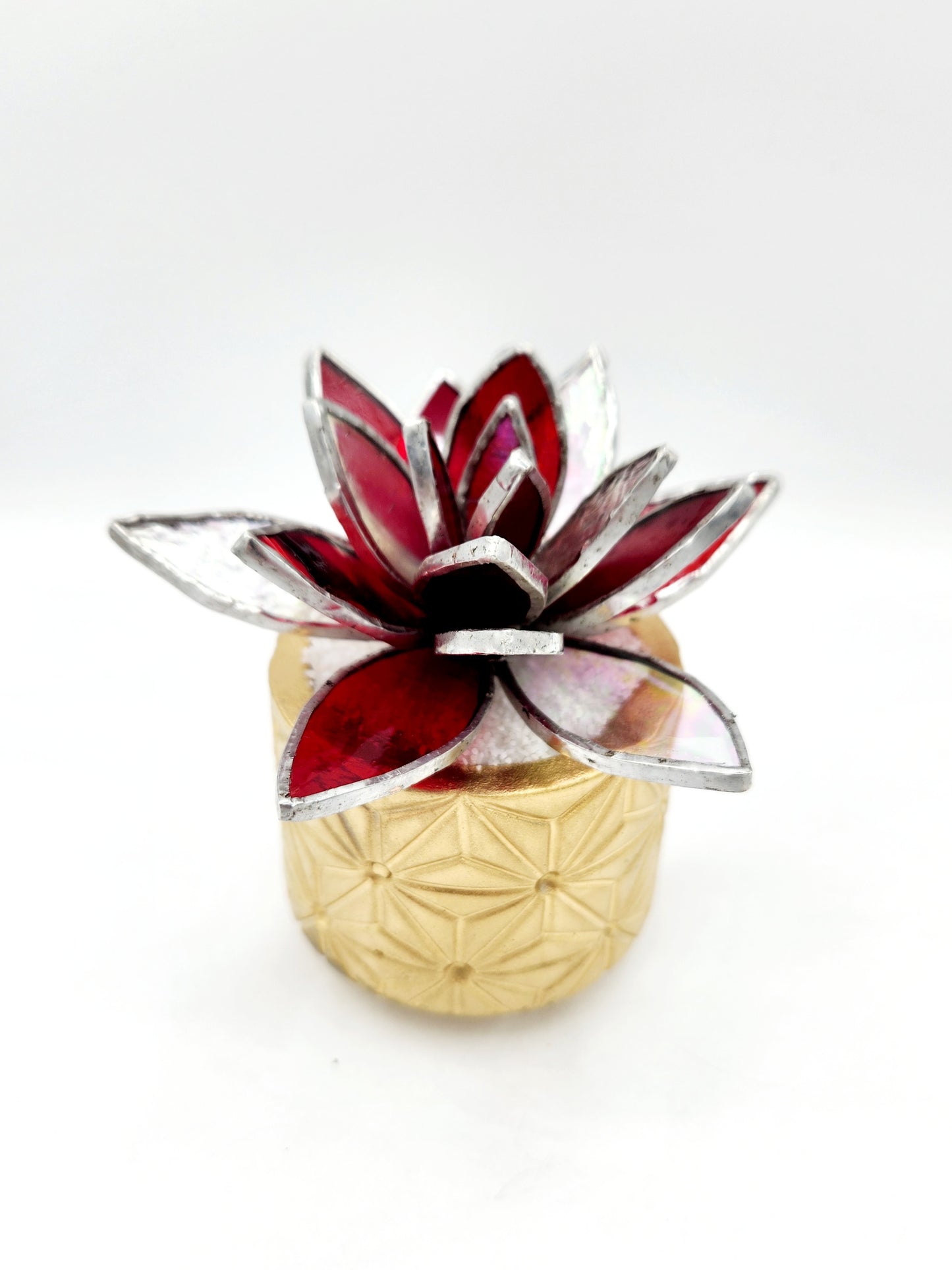 Holiday Lotus Succulents