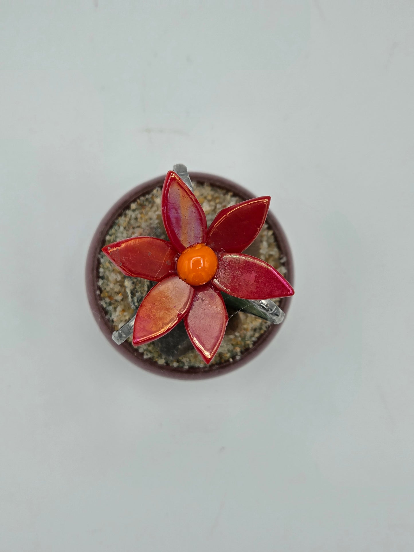 Cactus with Red Flower in Mauve Pot