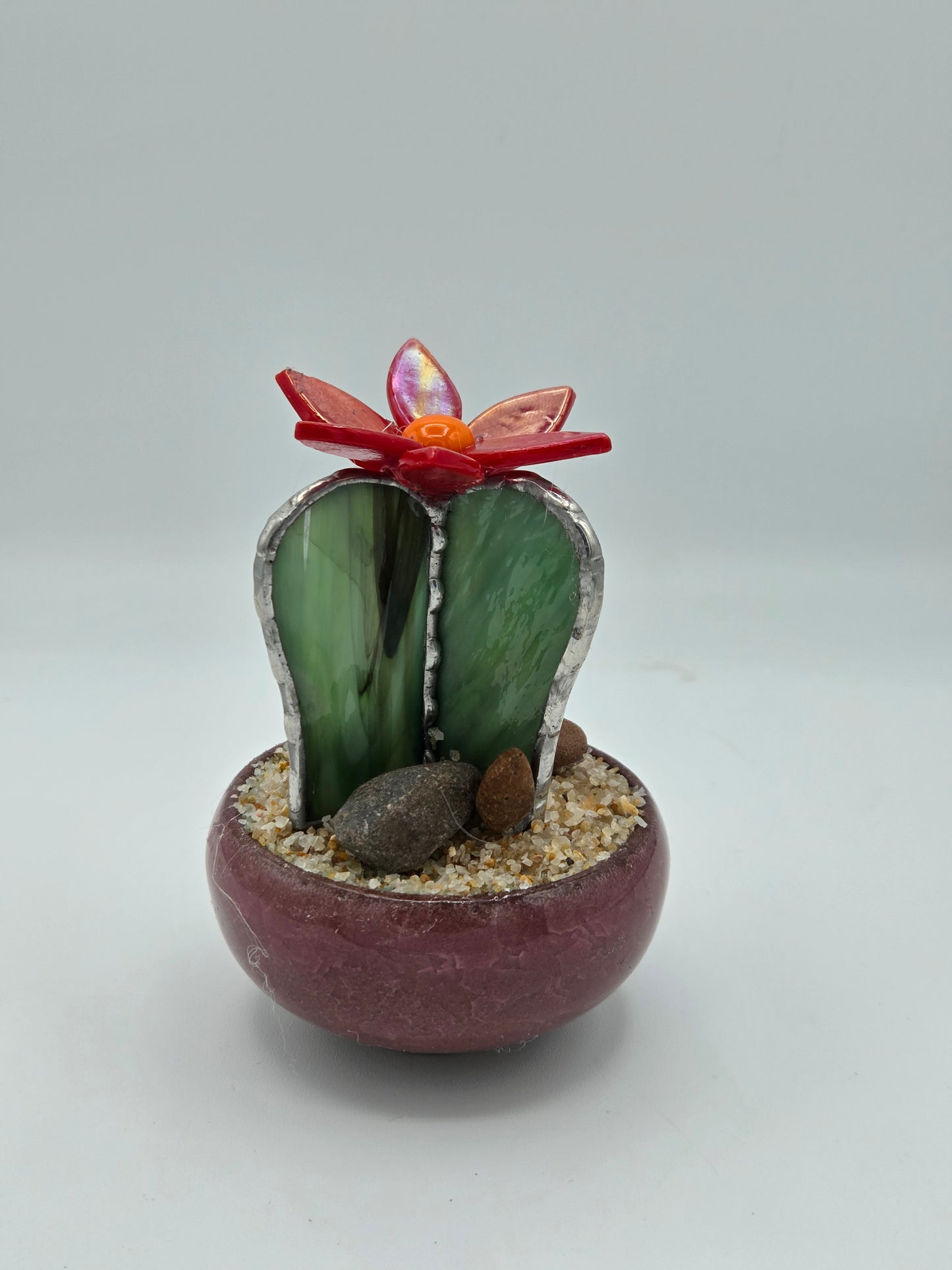 Cactus with Red Flower in Mauve Pot