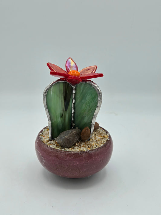 Cactus with Red Flower in Mauve Pot