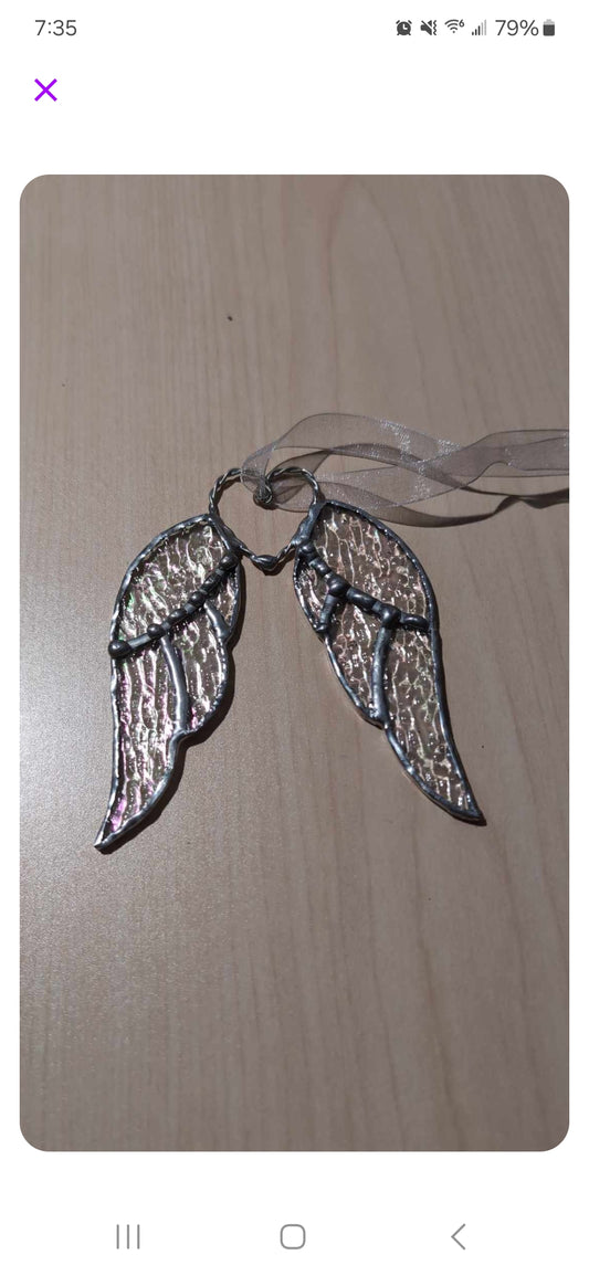 Special Order Angel Wings