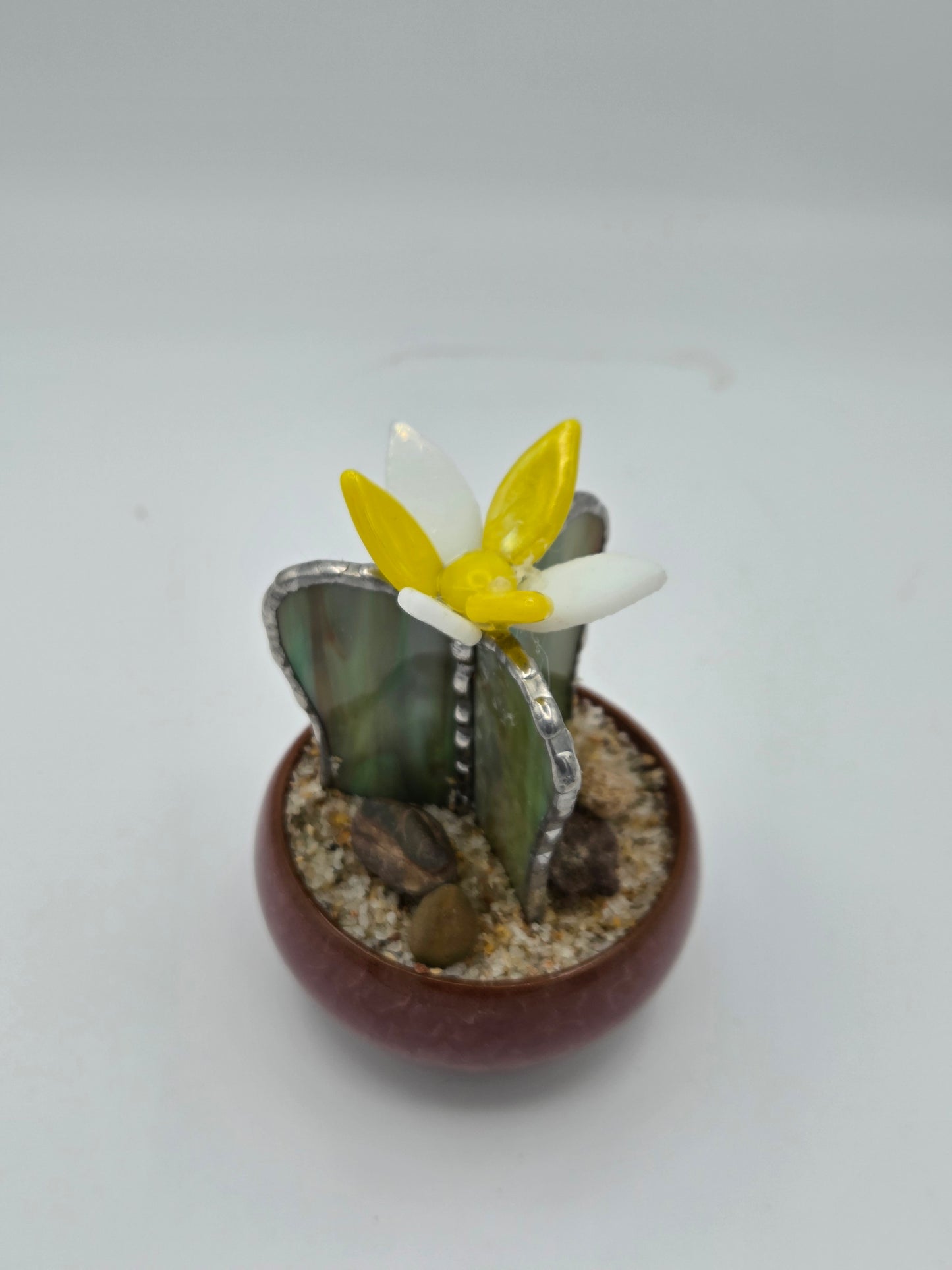 Cactus with Yellow Flower in Mauve Pot
