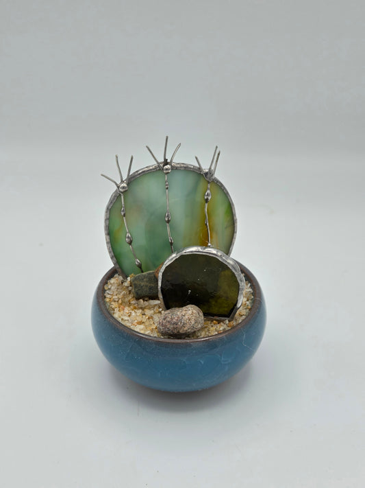 Double Cactus in Blue Pot