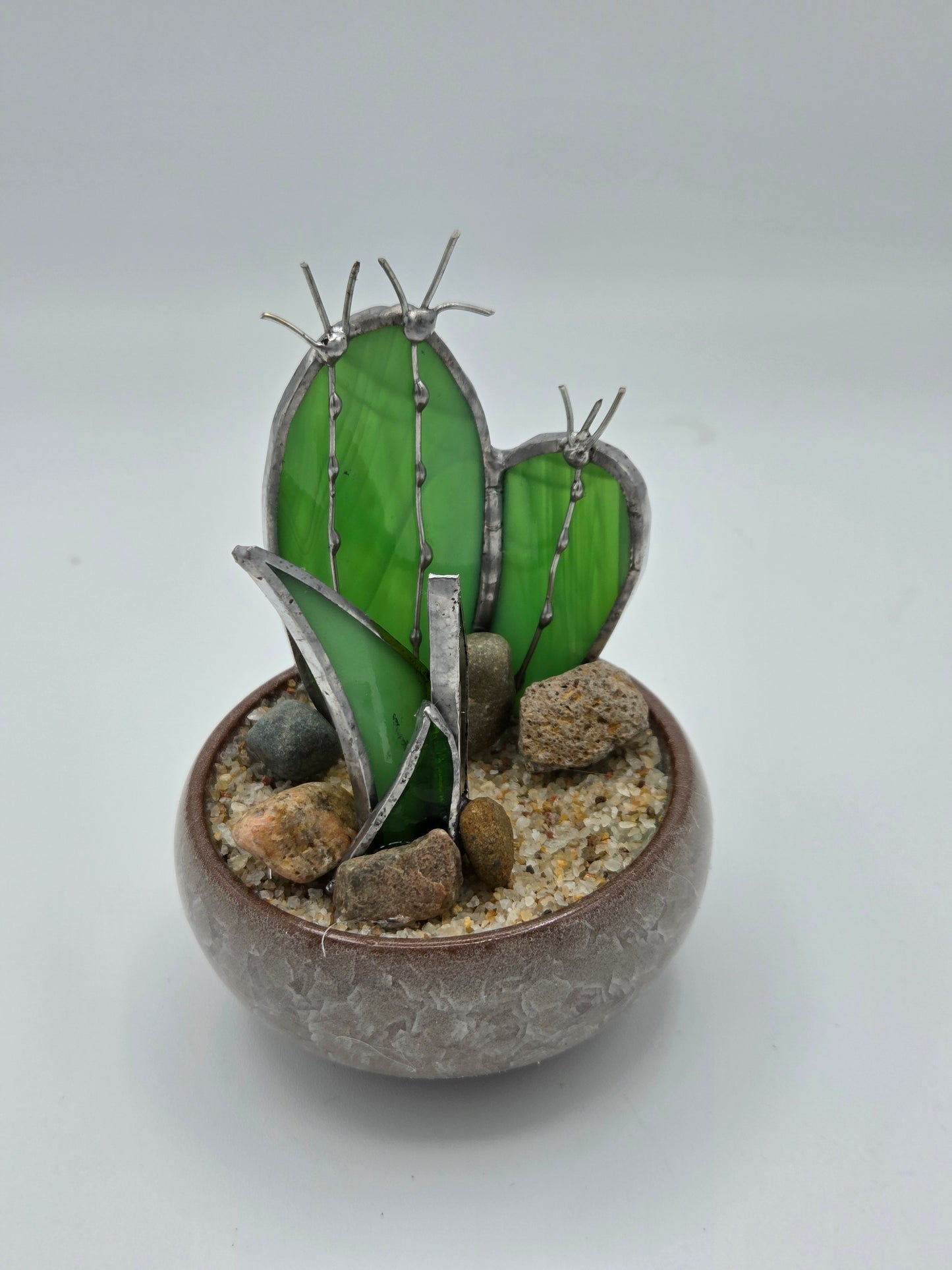 Cactus with Agave Accent in Grey Pot