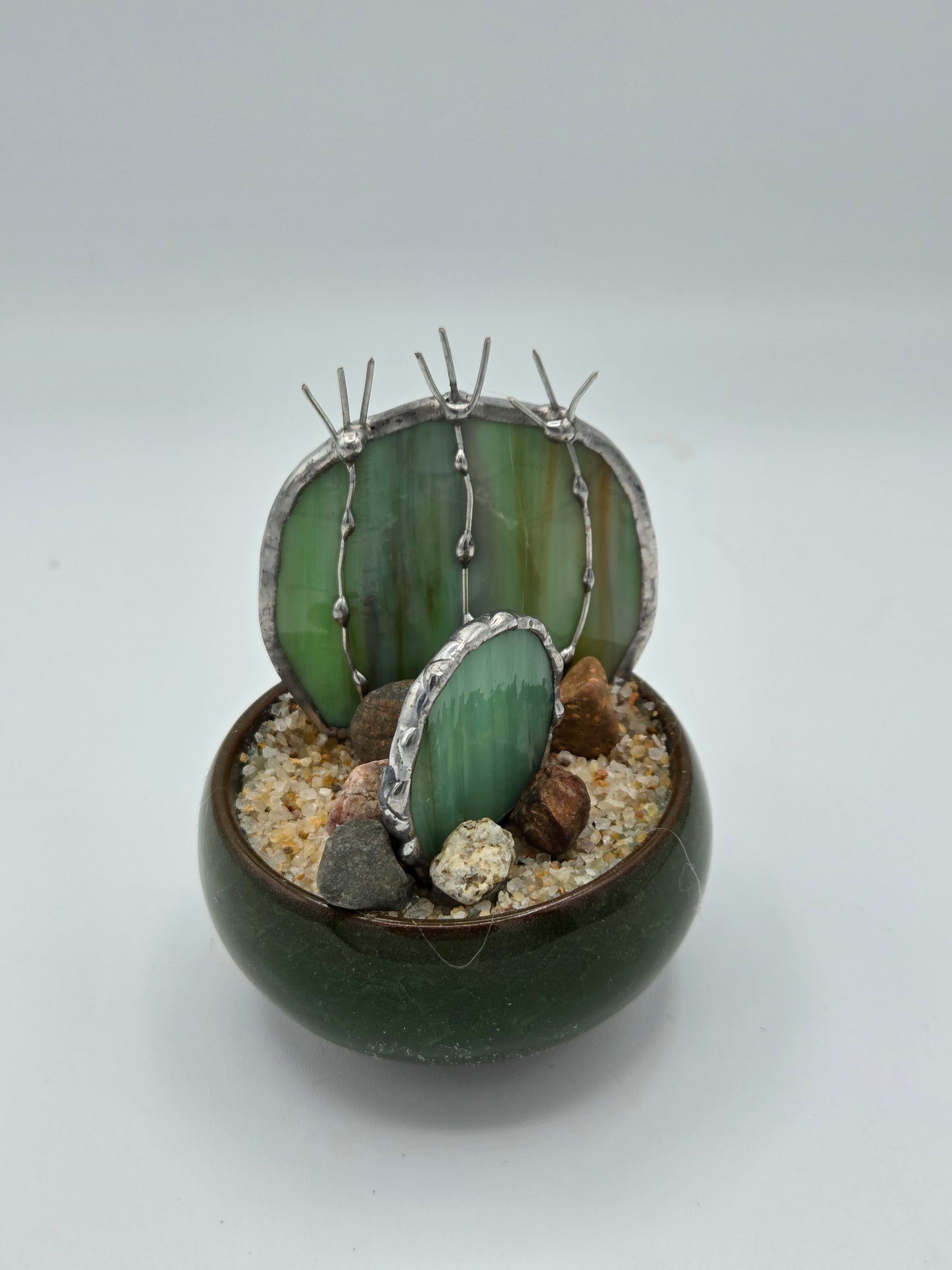 Double Cactus in Dark Green Pot