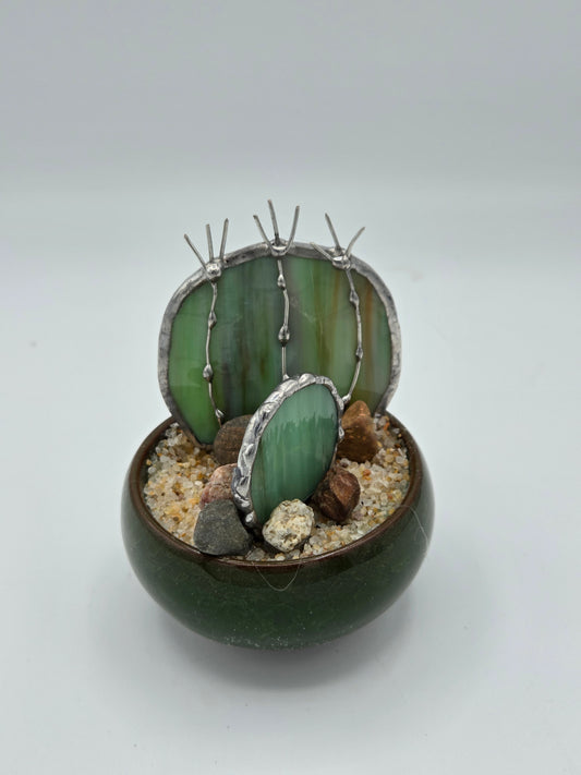 Double Cactus in Dark Green Pot