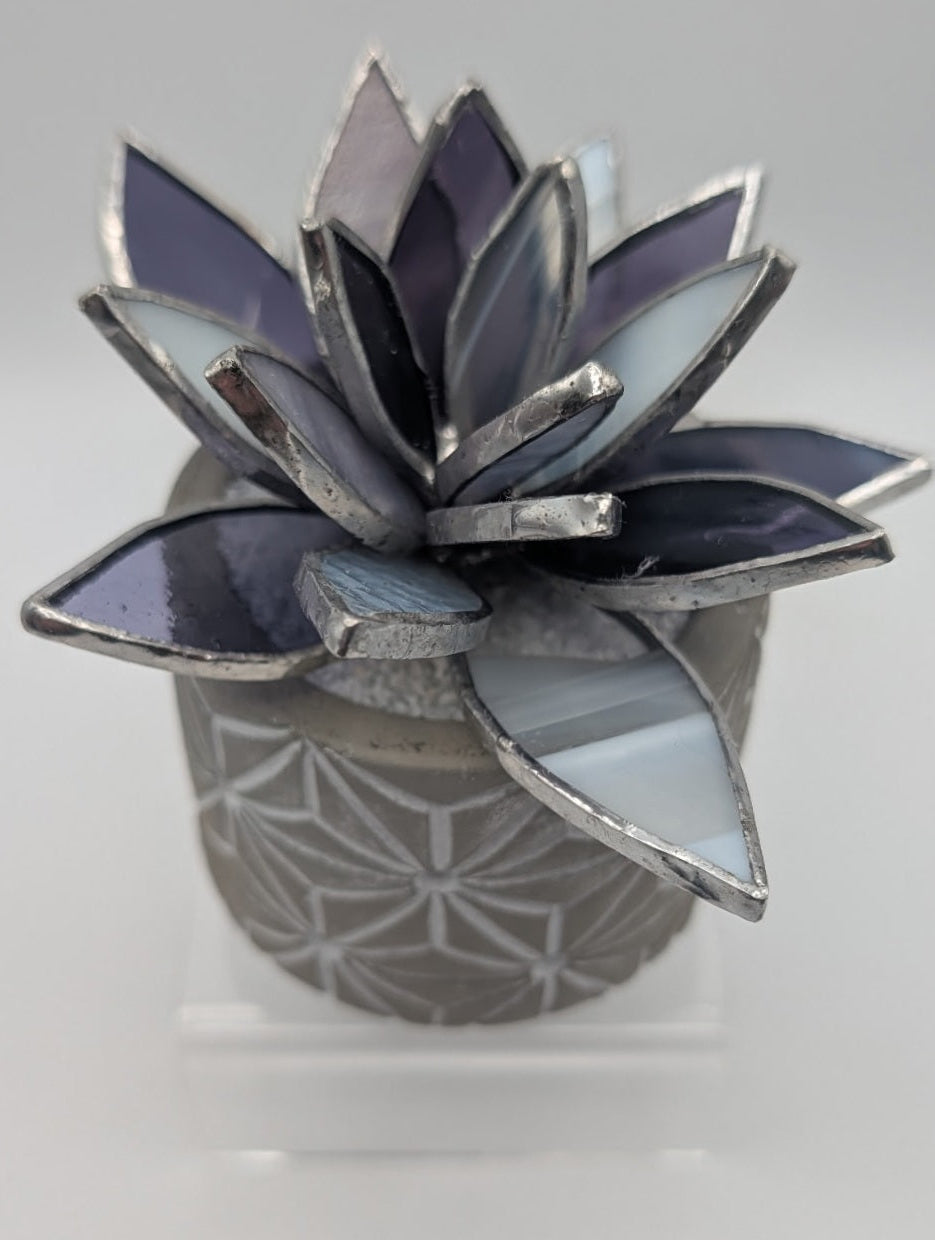 Purple in Grey Pot