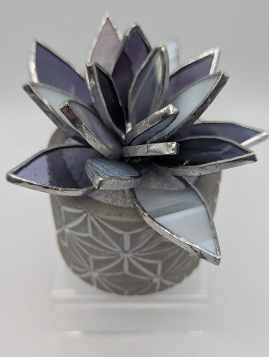 Purple in Grey Pot